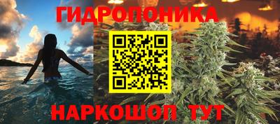 СК Новокубанск