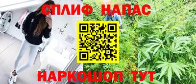 СК Новокубанск