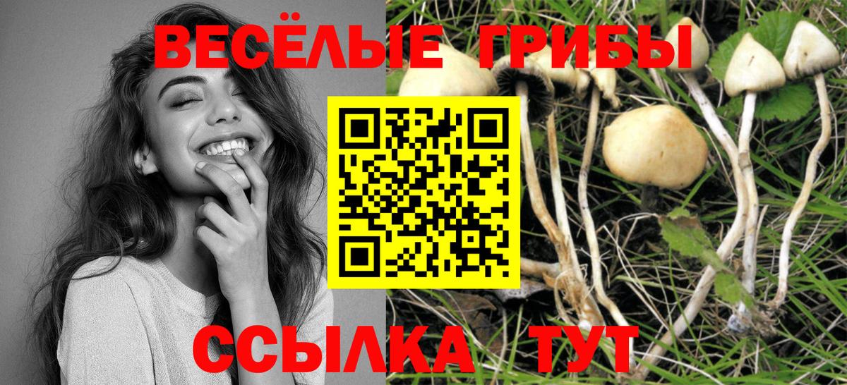 Галлюциногенные грибы мухоморы Новокубанск